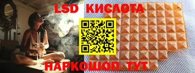 PSILOCYBIN Новодвинск