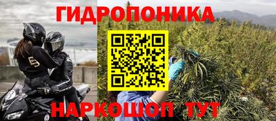 PSILOCYBIN Новодвинск