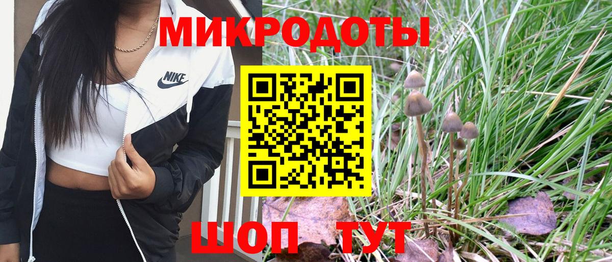 Самара  Галлюциногенные грибы MAGIC MUSHROOMS  Галлюциногенные грибы Psilocybe  Вход с VPN 